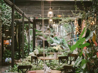 Thiết Kế Quán Cafe Phong Cách Tropical Từ A Đến Z Cho Chủ Quán