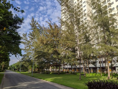 Setia Edenia – Kiến Tạo Chuẩn Sống Xanh, Hiện Đại Bậc Nhất Tại Trái Tim Bình Dương