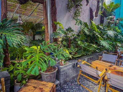Kinh Doanh Cà Phê Sân Vườn: Kinh Nghiệm Setup Từ A-Z