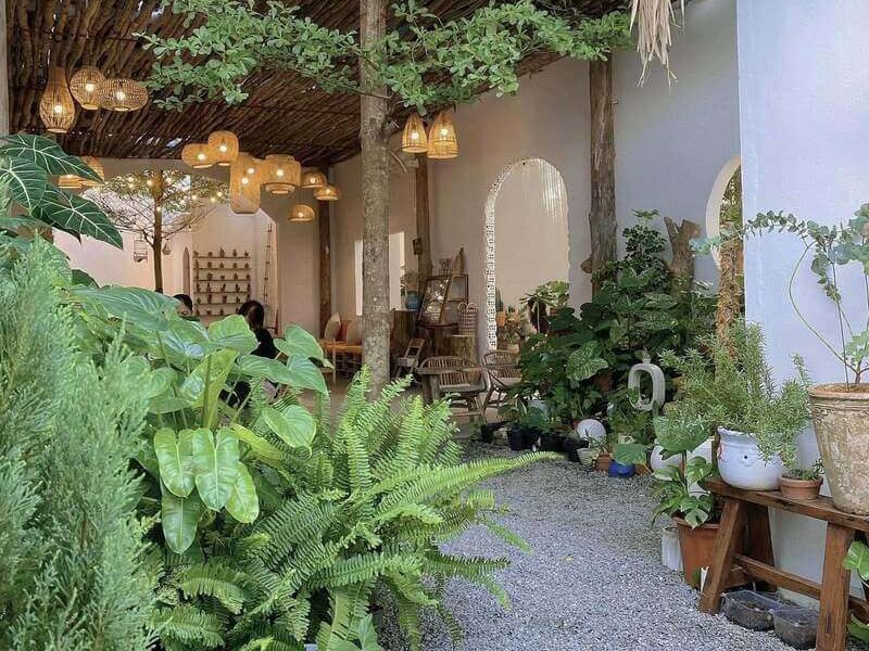 Phong Cách Gần Gũi Thiên Nhiên