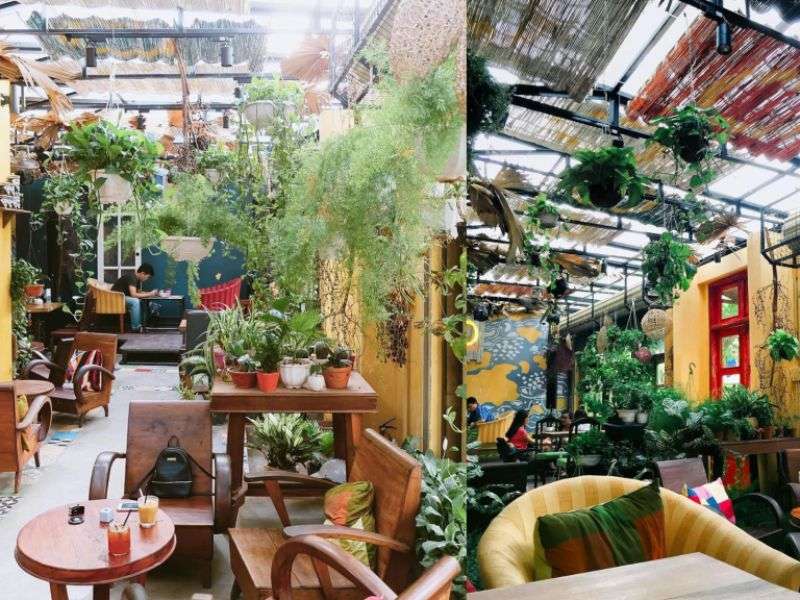 Quán Cafe 50m2 Kết Hợp Không Gian Xanh